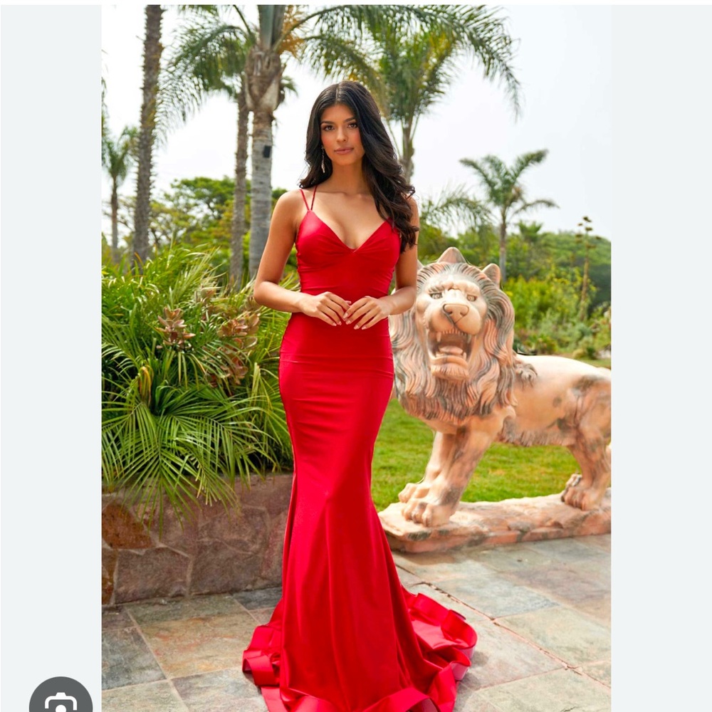 Atria prom dress in red! In perfect condition.